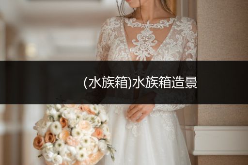 （水族箱)水族箱造景
