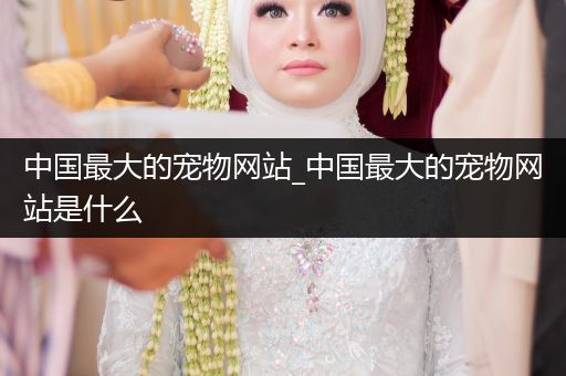 中國最大的寵物網(wǎng)站_中國最大的寵物網(wǎng)站是什么