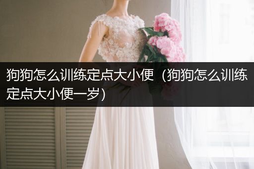 狗狗怎么訓(xùn)練定點(diǎn)大小便(狗狗怎么訓(xùn)練定點(diǎn)大小便一歲)