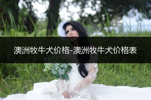 澳洲牧牛犬價格-澳洲牧牛犬價格表