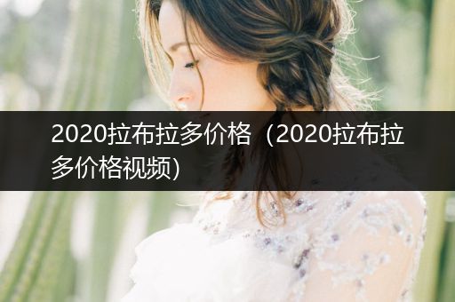 2020拉布拉多價格（2020拉布拉多價格視頻）