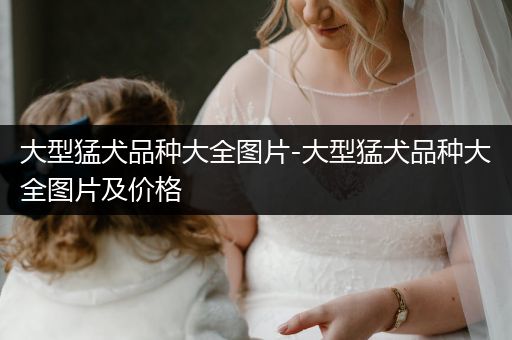 大型猛犬品種大全圖片-大型猛犬品種大全圖片及價(jià)格