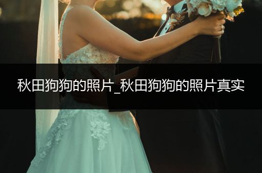 秋田狗狗的照片_秋田狗狗的照片真實(shí)