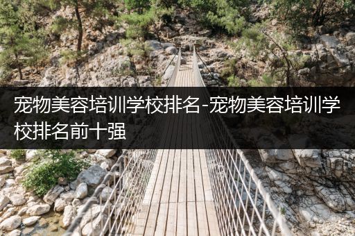 寵物美容培訓學校排名-寵物美容培訓學校排名前十強