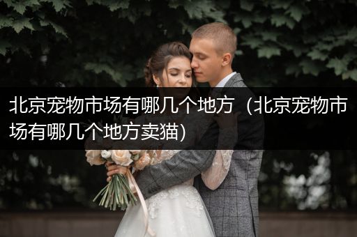 北京寵物市場有哪幾個地方（北京寵物市場有哪幾個地方賣貓）