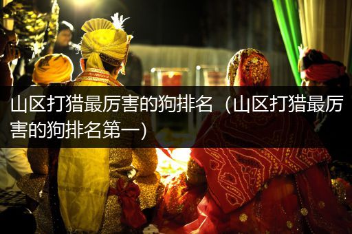 山區(qū)打獵最厲害的狗排名（山區(qū)打獵最厲害的狗排名第一）