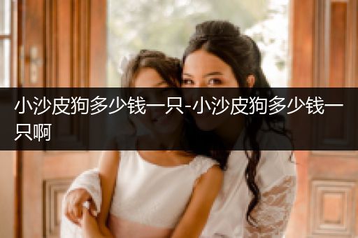 小沙皮狗多少錢一只-小沙皮狗多少錢一只啊