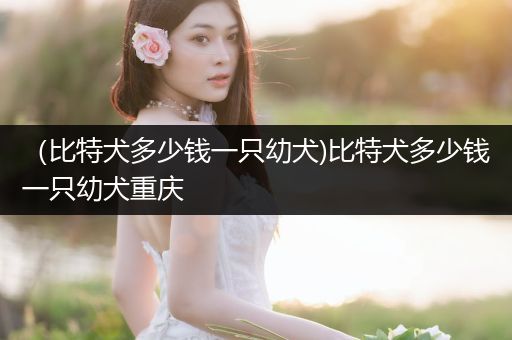 （比特犬多少錢一只幼犬)比特犬多少錢一只幼犬重慶