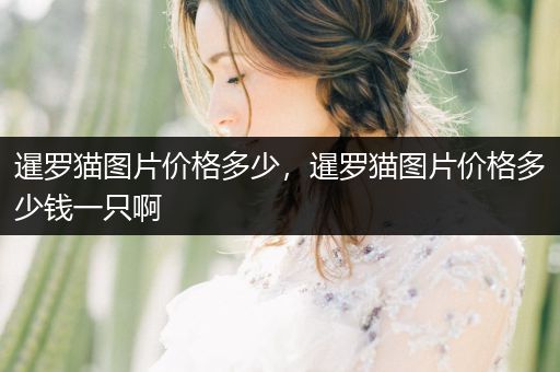 暹羅貓圖片價(jià)格多少，暹羅貓圖片價(jià)格多少錢一只啊