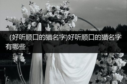 （好聽順口的貓名字)好聽順口的貓名字有哪些