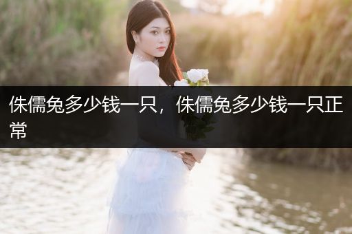 侏儒兔多少錢一只，侏儒兔多少錢一只正常