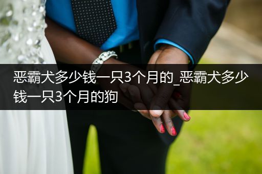 惡霸犬多少錢一只3個月的_惡霸犬多少錢一只3個月的狗