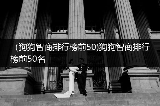 （狗狗智商排行榜前50)狗狗智商排行榜前50名