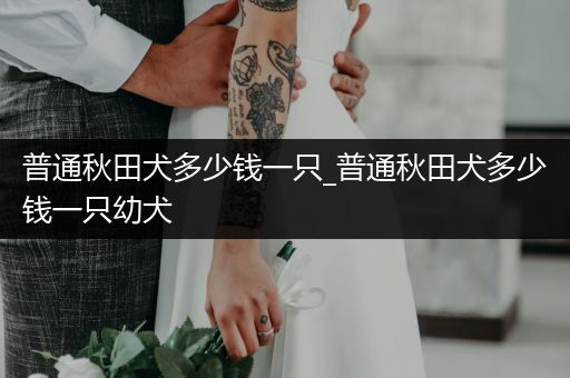 普通秋田犬多少錢一只_普通秋田犬多少錢一只幼犬