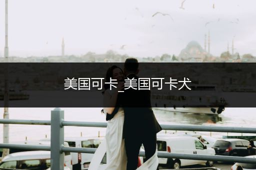 美國可卡_美國可卡犬