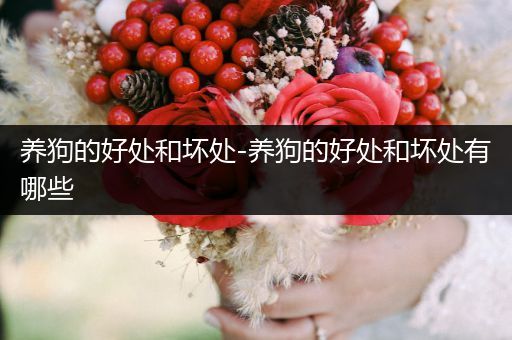 養(yǎng)狗的好處和壞處-養(yǎng)狗的好處和壞處有哪些