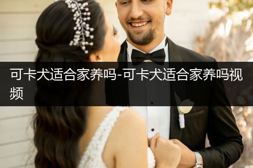 可卡犬適合家養(yǎng)嗎-可卡犬適合家養(yǎng)嗎視頻