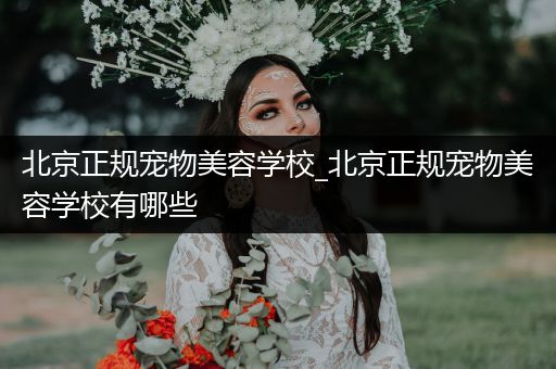 北京正規(guī)寵物美容學校_北京正規(guī)寵物美容學校有哪些