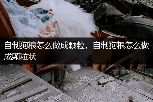 自制狗糧怎么做成顆粒，自制狗糧怎么做成顆粒狀