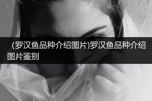 (羅漢魚品種介紹圖片)羅漢魚品種介紹圖片鑒別