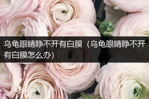 烏龜眼睛睜不開有白膜（烏龜眼睛睜不開有白膜怎么辦）