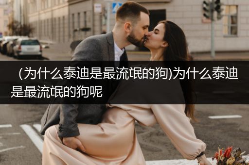 (為什么泰迪是最流氓的狗)為什么泰迪是最流氓的狗呢