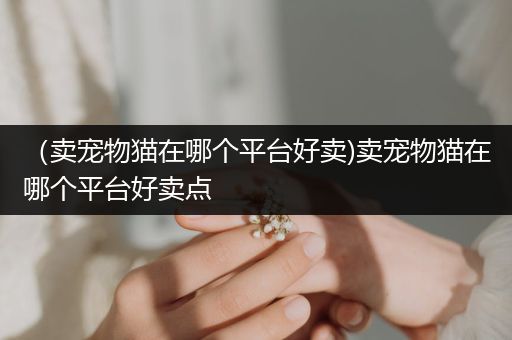 (賣寵物貓在哪個平臺好賣)賣寵物貓在哪個平臺好賣點