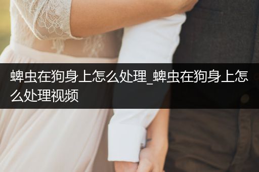 蜱蟲在狗身上怎么處理_蜱蟲在狗身上怎么處理視頻