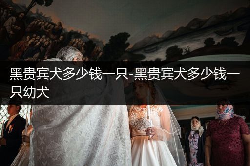 黑貴賓犬多少錢一只-黑貴賓犬多少錢一只幼犬