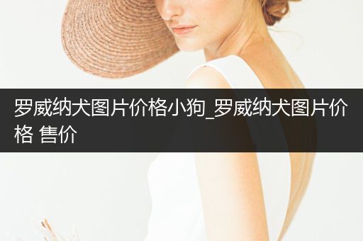 羅威納犬圖片價格小狗_羅威納犬圖片價格 售價