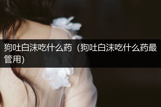 狗吐白沫吃什么藥（狗吐白沫吃什么藥最管用）