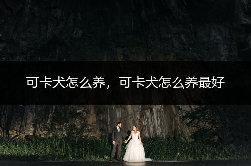 可卡犬怎么養(yǎng)，可卡犬怎么養(yǎng)最好