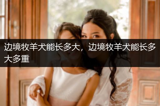 邊境牧羊犬能長多大，邊境牧羊犬能長多大多重