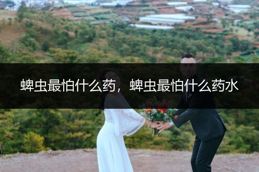 蜱蟲最怕什么藥，蜱蟲最怕什么藥水