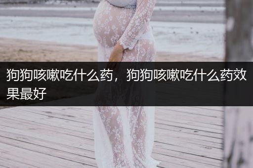 狗狗咳嗽吃什么藥，狗狗咳嗽吃什么藥效果最好
