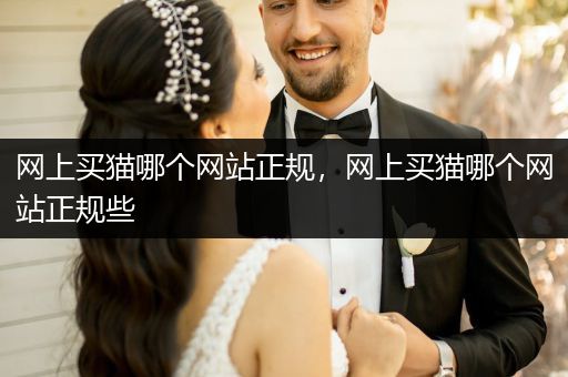 網(wǎng)上買貓哪個(gè)網(wǎng)站正規(guī)，網(wǎng)上買貓哪個(gè)網(wǎng)站正規(guī)些