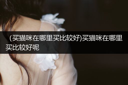 （買貓咪在哪里買比較好)買貓咪在哪里買比較好呢