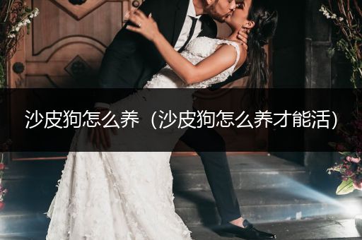 沙皮狗怎么養(yǎng)（沙皮狗怎么養(yǎng)才能活）