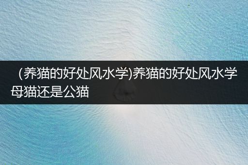 （養(yǎng)貓的好處風(fēng)水學(xué))養(yǎng)貓的好處風(fēng)水學(xué)母貓還是公貓