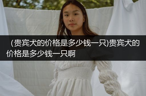 （貴賓犬的價(jià)格是多少錢一只)貴賓犬的價(jià)格是多少錢一只啊