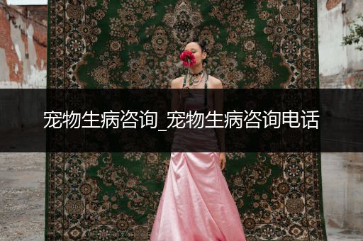 寵物生病咨詢_寵物生病咨詢電話
