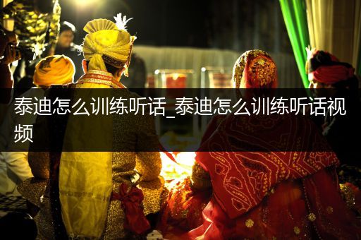 泰迪怎么訓(xùn)練聽(tīng)話_泰迪怎么訓(xùn)練聽(tīng)話視頻