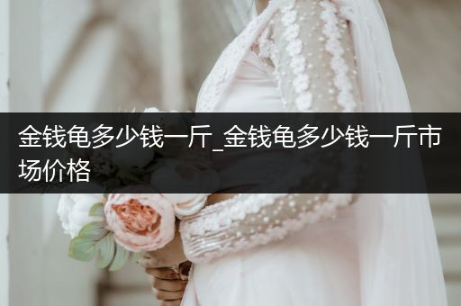 金錢龜多少錢一斤_金錢龜多少錢一斤市場價格