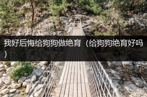 我好后悔給狗狗做絕育（給狗狗絕育好嗎）