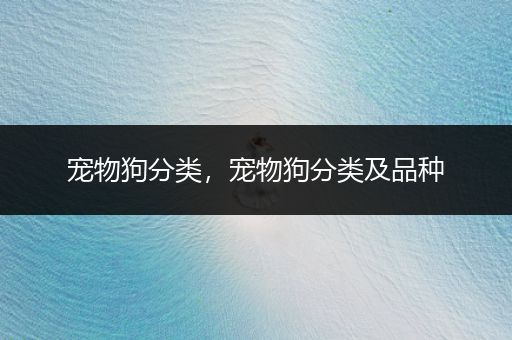 寵物狗分類，寵物狗分類及品種