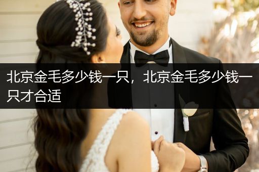 北京金毛多少錢一只，北京金毛多少錢一只才合適