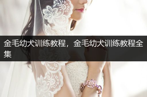 金毛幼犬訓(xùn)練教程，金毛幼犬訓(xùn)練教程全集