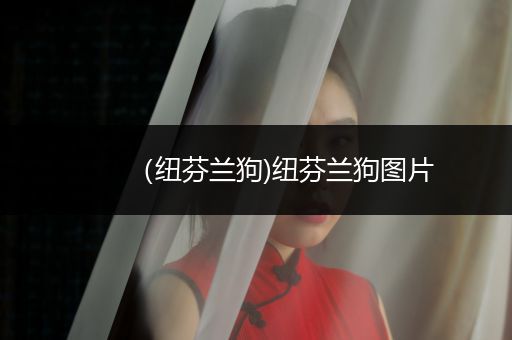 （紐芬蘭狗)紐芬蘭狗圖片