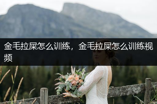 金毛拉屎怎么訓練，金毛拉屎怎么訓練視頻