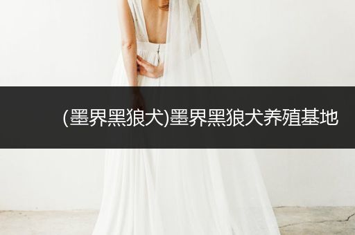 （墨界黑狼犬)墨界黑狼犬養(yǎng)殖基地